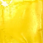 Wattle Yellow