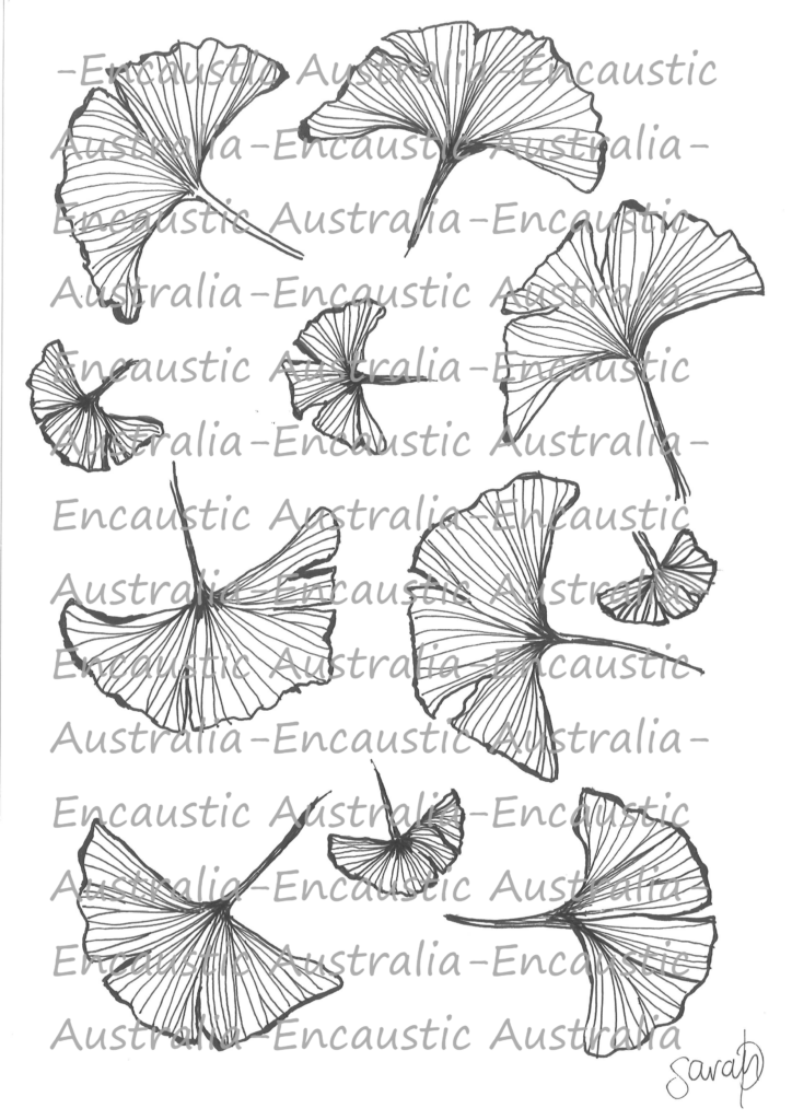 Downloadable Illustration - Ginkgo Leaves